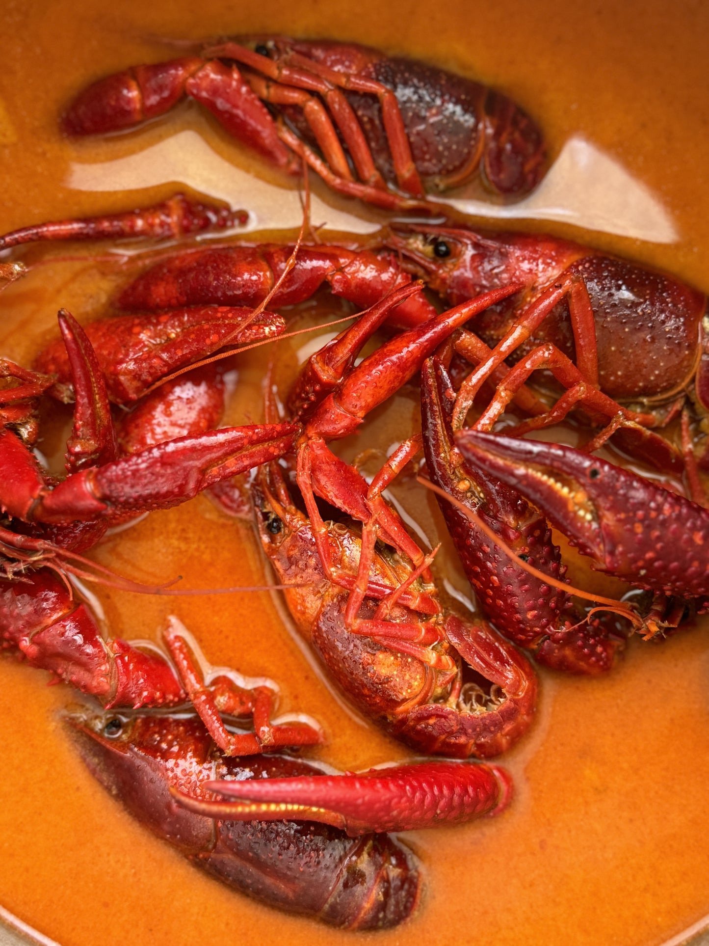 Raki_De-Flusskrebse in scharfer Tom-Yum-Sose – inspiriert von Thai-Küche. Frisch gekocht in Essen
, mit Soße vakuumverpackt und deutschlandweit geliefert. rakide.de und rakide.com