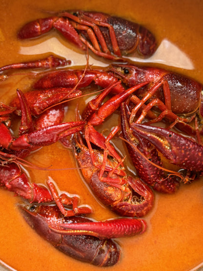 Raki_De-Flusskrebse in scharfer Tom-Yum-Sose – inspiriert von Thai-Küche. Frisch gekocht in Essen
, mit Soße vakuumverpackt und deutschlandweit geliefert. rakide.de und rakide.com